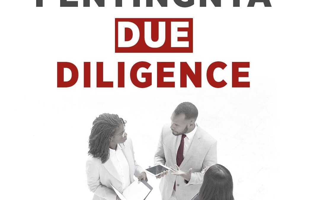 PENTINGNYA DUE DILIGENCE