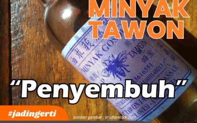 Kisah Minyak Tawon, “Penyembuh” Keluhan Ringan Legendaris