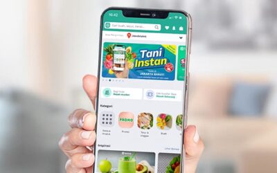 Belajar dari Kasus TaniHub: Menyelami Risiko Hukum dalam Investasi Startup